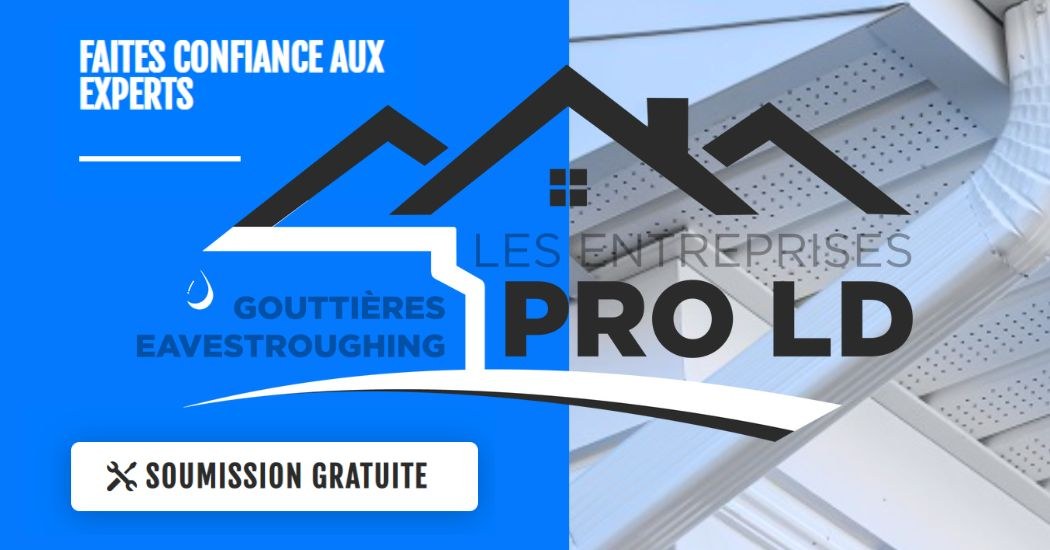 Bannière Entreprises Pro LD